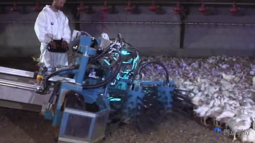 奇特的養殖神器 抓雞與擠奶的高效革命